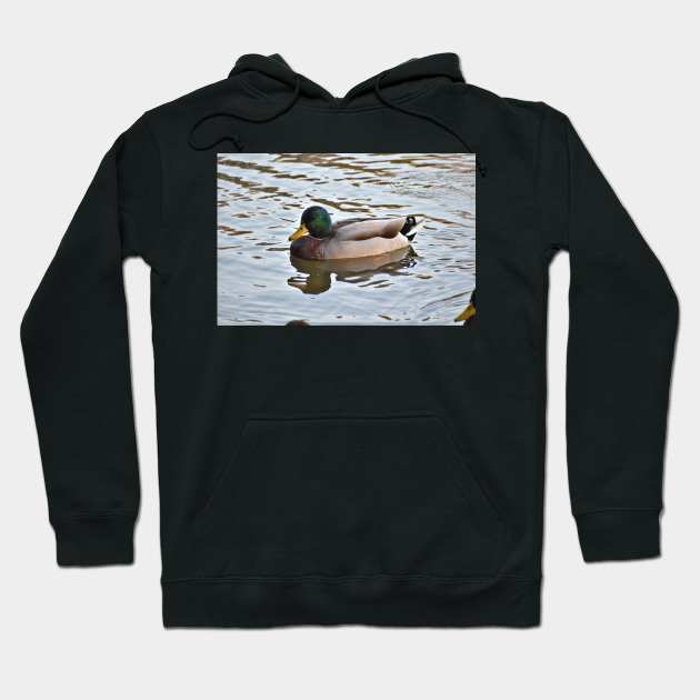 Father Duck Hoodie by A Thousand Words Photography